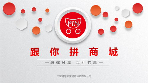 网络技术服务战略规划与详解